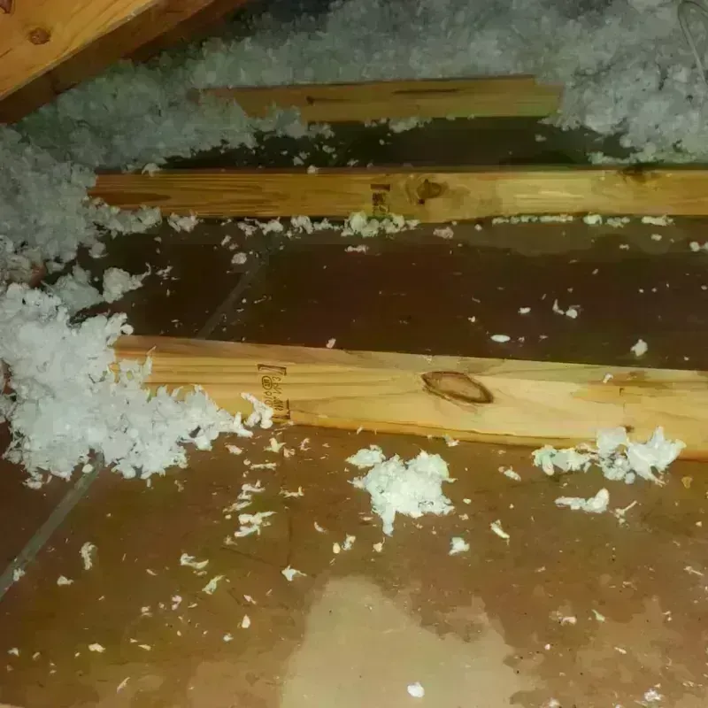 Attic Water Damage in Cattaraugus County, NY